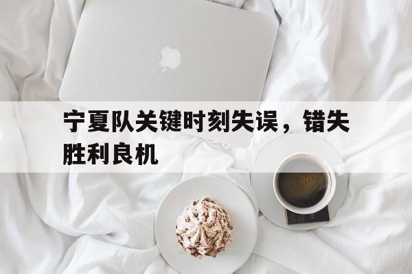 宁夏队关键时刻失误,错失胜利良机的简单介绍